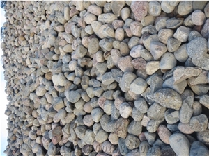 Lammi Grey Gravels, Pebbles