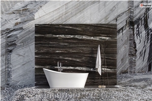 Rovana Gneiss Wall and Floor Applications