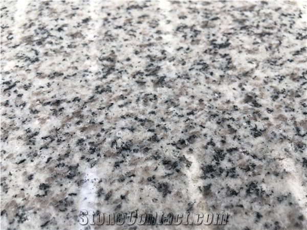 Popular Grey Granite G603 with Competitive Price