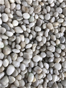 Wholesale White Pebbles for Landscaping / Paving Decoration