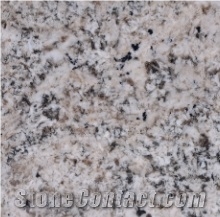 Arendus White Granite Slabs