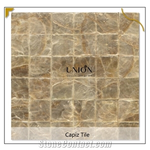 Gold Leaf Pattern Capiz Tiles 100 Natural Backgroup Wall