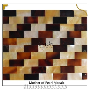 Mixed Color Mother Of Pearl Mosaic Unique Design Pattern