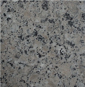 China Beige Granite Slabs & Tiles