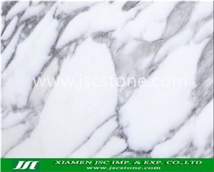 Affordable Luxury Arabescato White Marble Tiles Slabs Italy