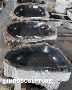 Petrified Wood Sinks