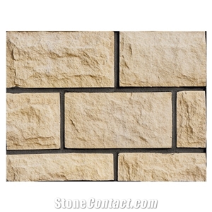 Composite Silicon Molds Cast Artificial Rustic Brick Wall