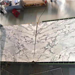 Luxuy White Marble with Silver Grain Royal Platinum Marble