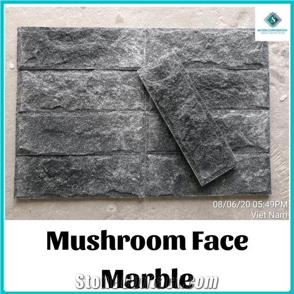 Ascdl002 Black Mushroom Face Marble