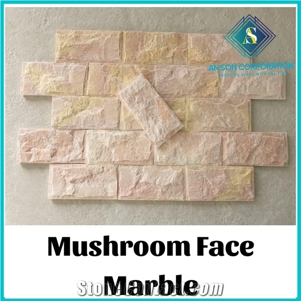 Ascdl002 Yellow and Pink Mushroom Face Marble