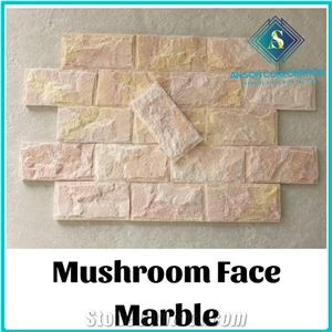 Ascdl002 Yellow and Pink Mushroom Face Marble