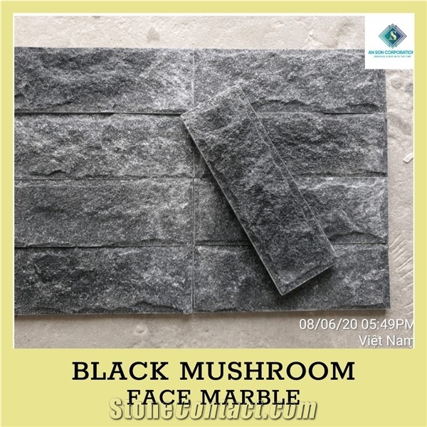Ascdl003 Black Mushroom Face Marble