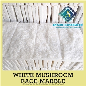 Ascdl003 White Mushroom Face Marble