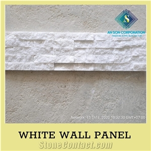 Ascdl003 White Wall Panel