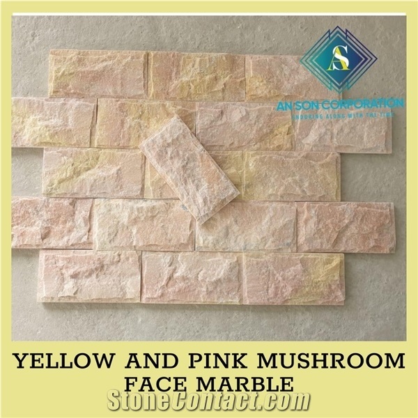 Ascdl003 Yellow and Pink Mushroom Face Marble