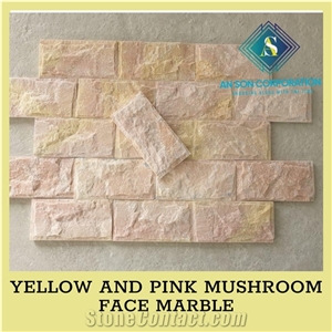 Ascdl003 Yellow and Pink Mushroom Face Marble