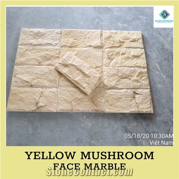 Ascdl003 Yellow Mushroom Face Marble