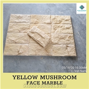 Ascdl003 Yellow Mushroom Face Marble