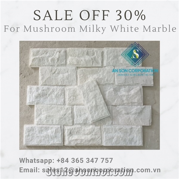 Big Promotion Big Sale for Mushroom Milky White Marble