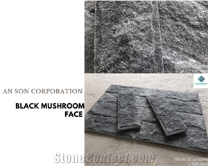 Black Mushroom Face
