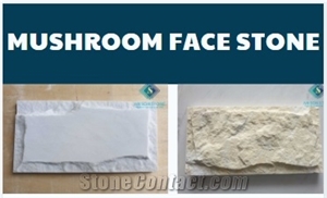 Cheap Cost for Best Veneer Stone Free Sample to Everywhere