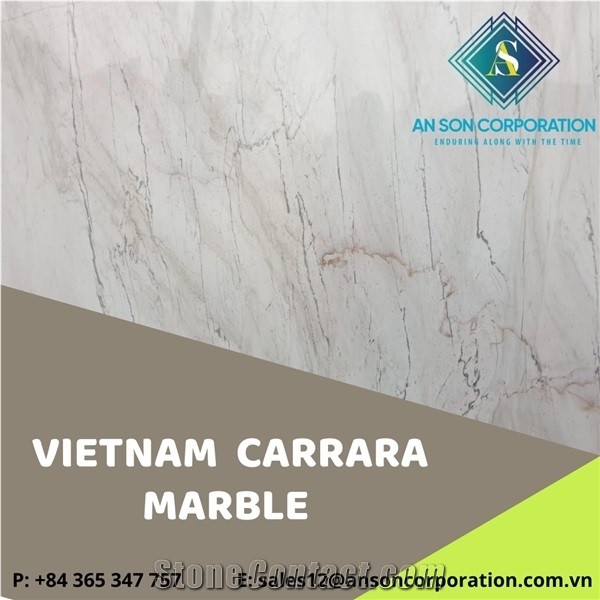 Hot Deal for Vietnam Carrara Marble Slab & Tile