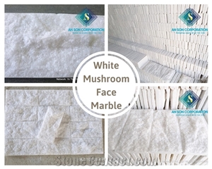 Hot Deal Hot Promotion for White Marble Mushroom Face