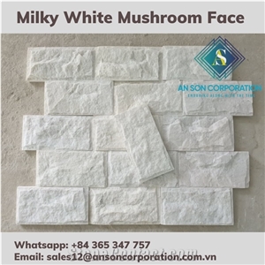 New Selection Of Milky White Mushroom Face