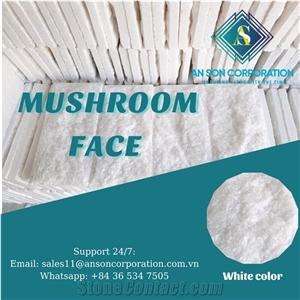 Super White Mushroom Face Viet Nam