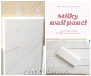 Vietnam Milky White for Wall Panel: Great Choice for Decor
