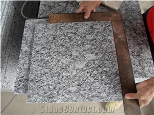 Chinese Spray White Granite Polished Slabs Wall Flooring Use