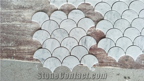Natural Sea Shell Carrara Bianco White Marble Art Mosaics