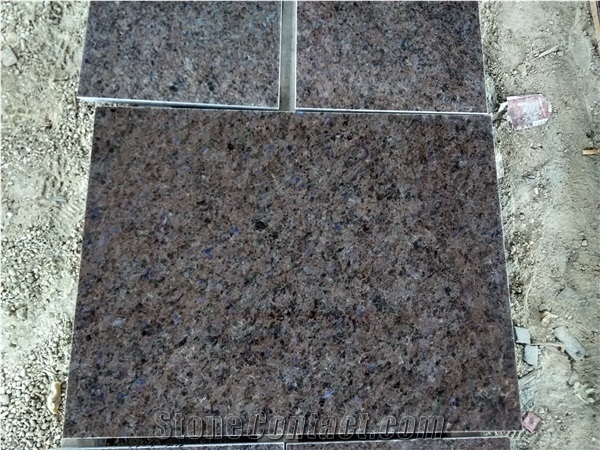Norway Brown Labrador Antique Granite Blue Pot Flooring Tile