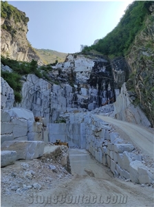 Bardiglio Carrara Marble Blocks