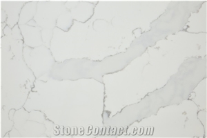 Vemy Surface Quartz Stone Vm-17121