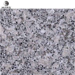 Natural Light Grey Bianco Sardo Granite Stone for Countertops
