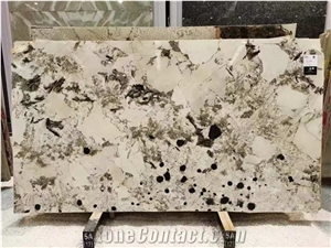 Luxury Brazil Alpinus White Granite Slab