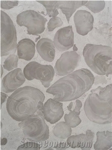 Shell Stone Marble, Shell Reef Marble Slabs