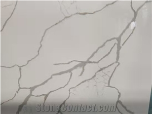 Calacatta Laza Quartz Solid Surface Stone
