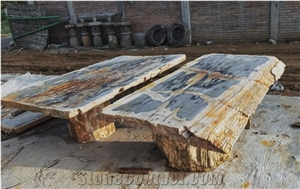 Natural Petrified Wood Table