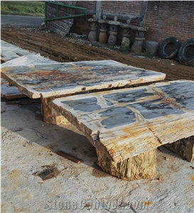 Natural Petrified Wood Table