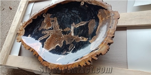 Petrified Wood Cut Bowl