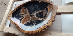 Petrified Wood Cut Bowl
