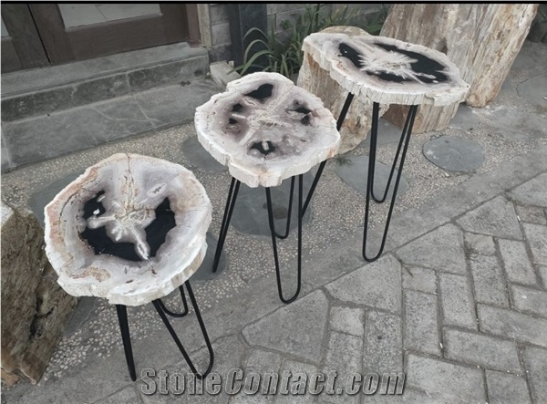Petrified Wood Mini Table