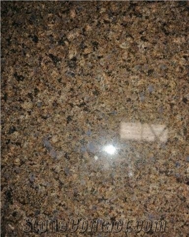Brown Quseer Granite Slabs