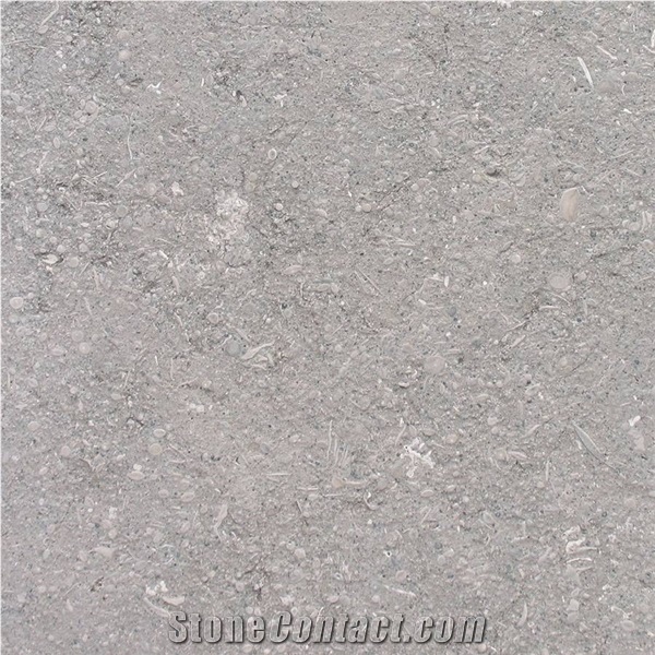 Grigio Argento Limestone Slabs, Tiles