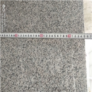 Cheap Price G603 Granite Slabs Chinese Tile Sesame White