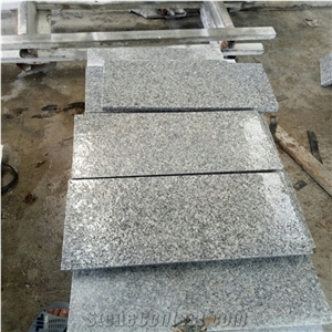 China Light Grey Granite Stone Polished G602 Slabs and Tiles