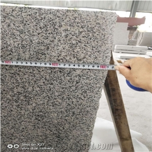 Chinese Factory Wholesale Cheap G603 Grey Granite Slabs