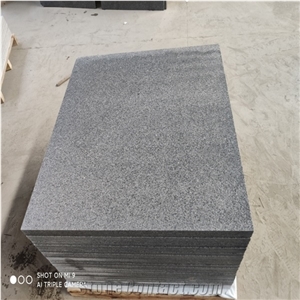 Polished Bianco Silver Grey Granite Tile G633 Granite